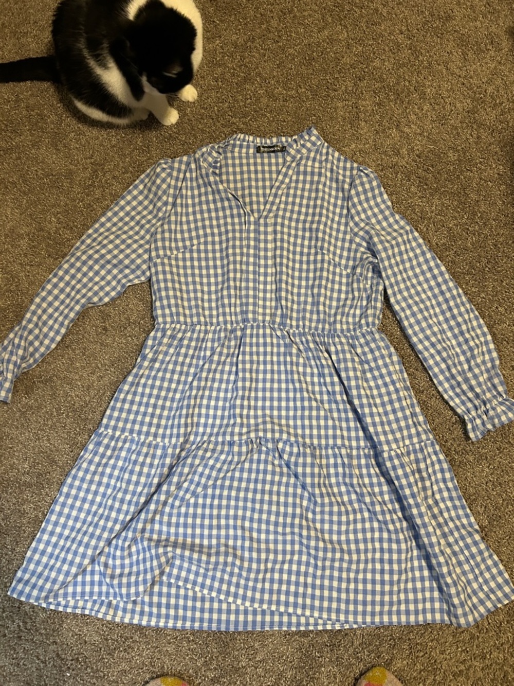 Light Blue Gingham Long-Sleeve Tiered Dress